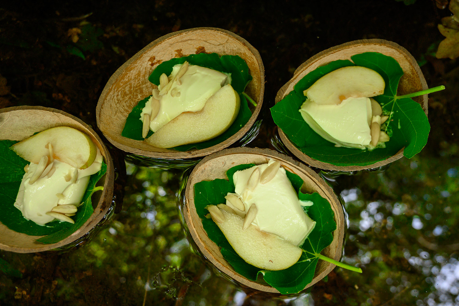 Panna cotta feuille de figuier
